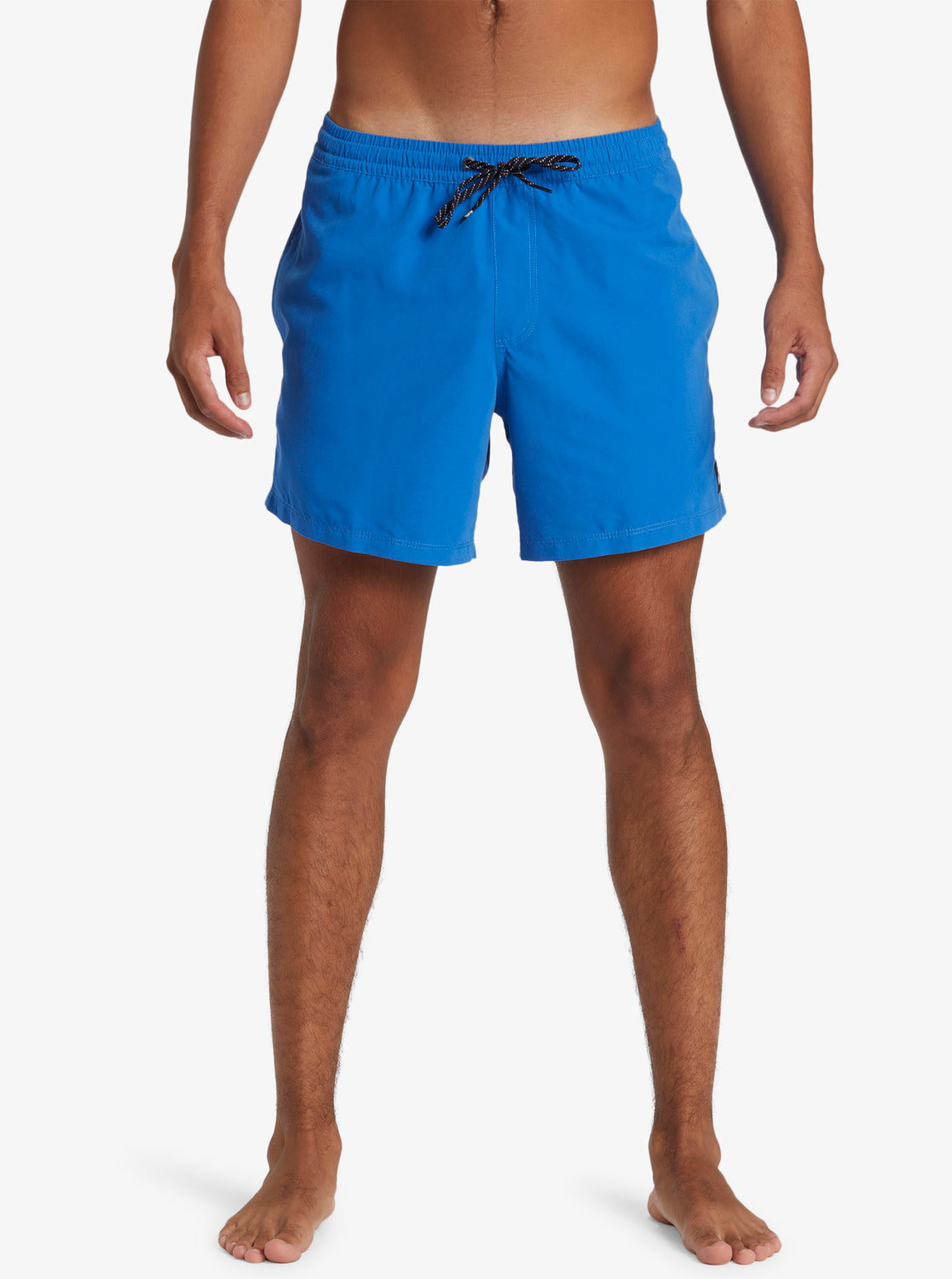 Mens Everyday Solid Volley 15" Swim Shorts - Quiksilver Malaysia