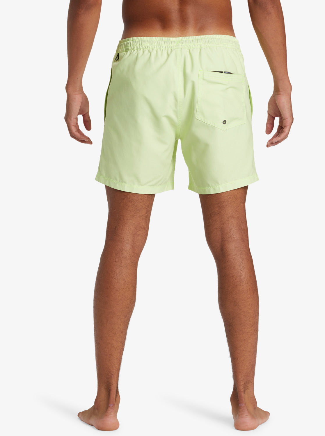 Mens Everyday Solid Volley 15" Swim Shorts - Quiksilver Malaysia