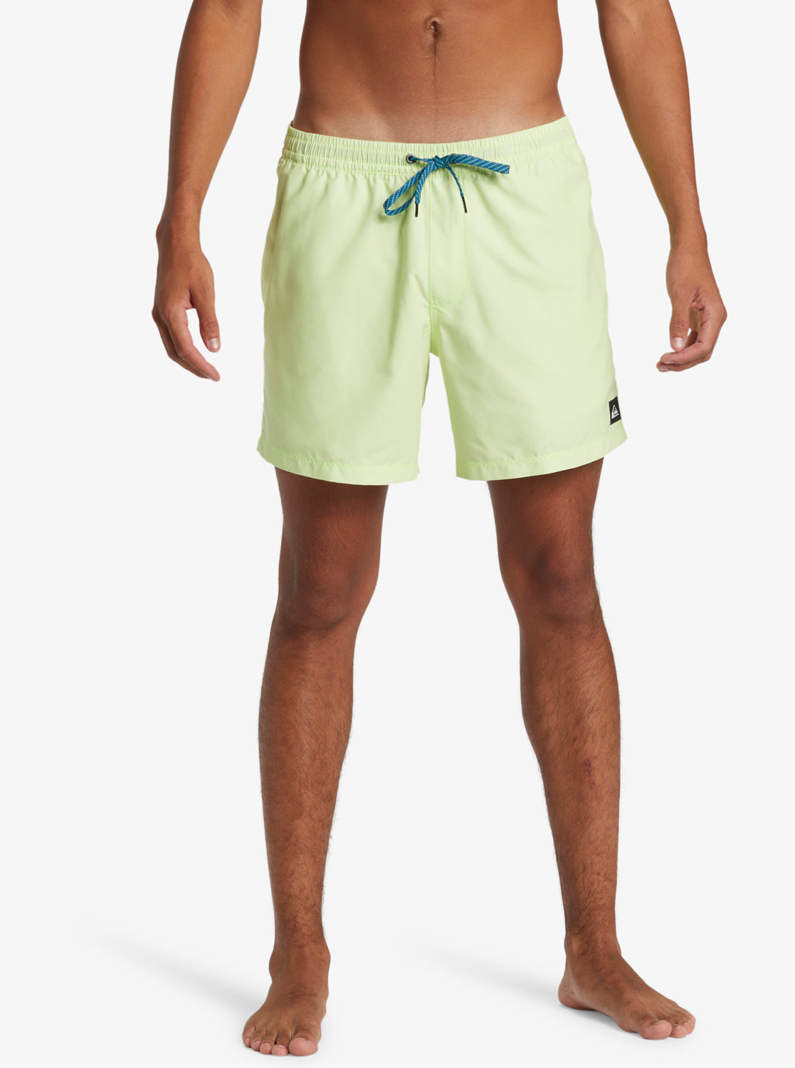 Mens Everyday Solid Volley 15" Swim Shorts - Quiksilver Malaysia