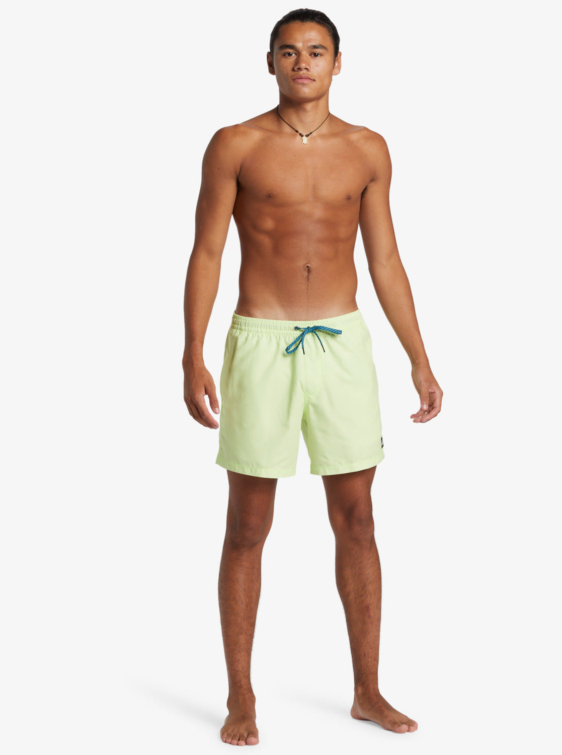 Mens Everyday Solid Volley 15" Swim Shorts - Quiksilver Malaysia