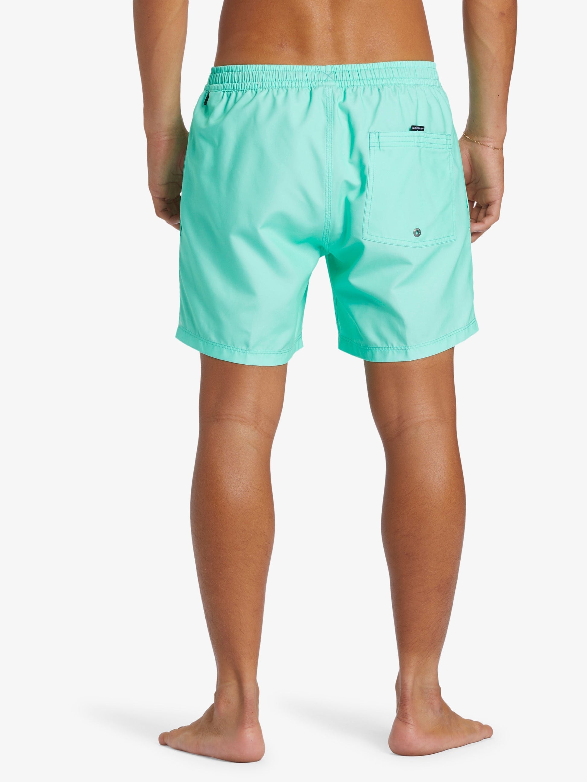 Mens Everyday Solid Volley 15" Swim Shorts - Quiksilver Malaysia