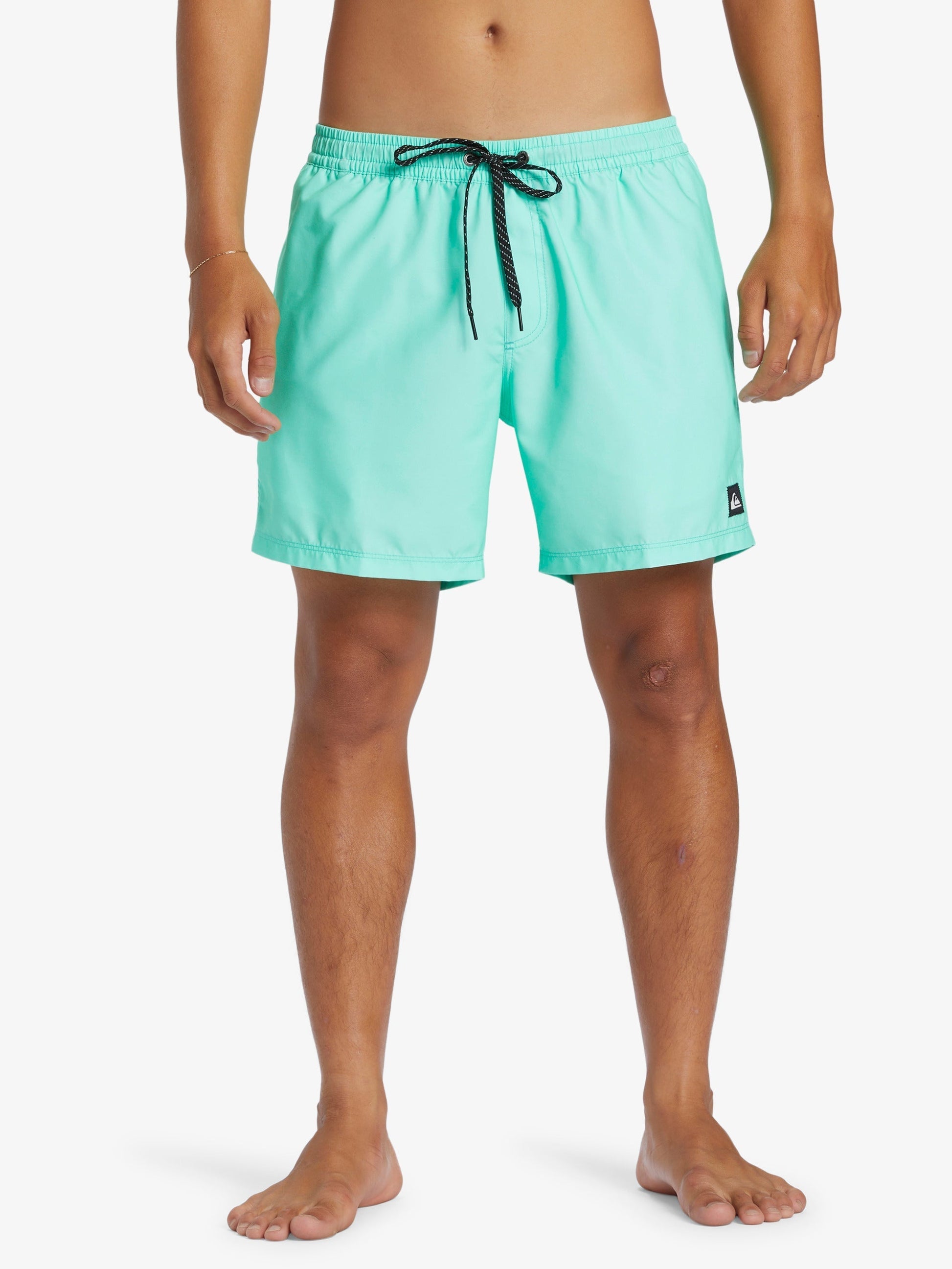 Mens Everyday Solid Volley 15" Swim Shorts - Quiksilver Malaysia