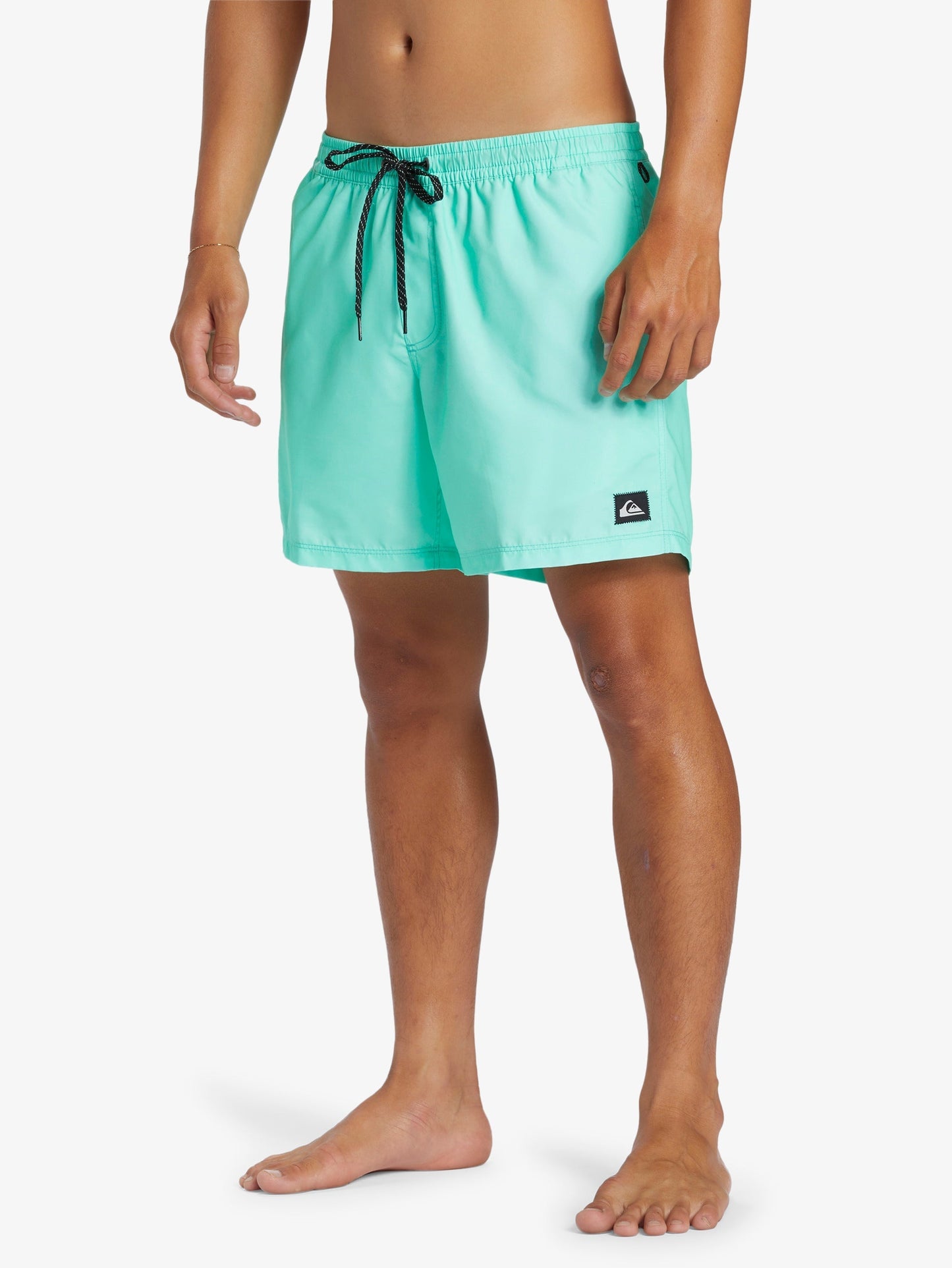 Mens Everyday Solid Volley 15" Swim Shorts - Quiksilver Malaysia