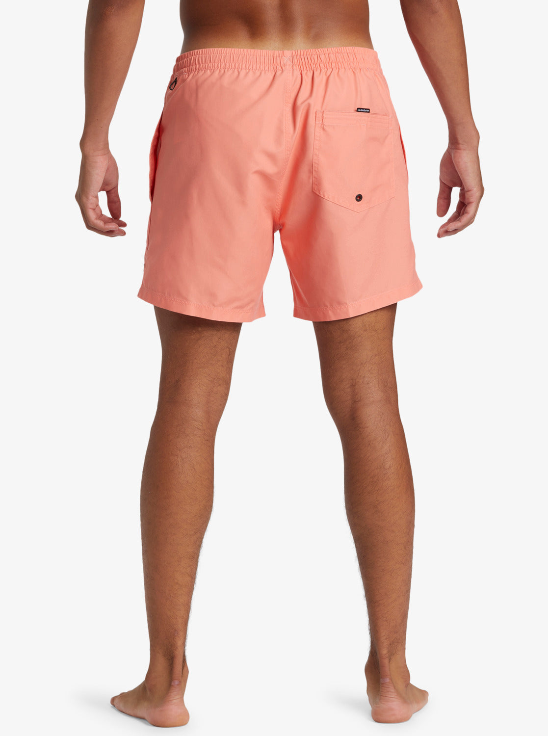 Mens Everyday Solid Volley 15" Swim Shorts - Quiksilver Malaysia