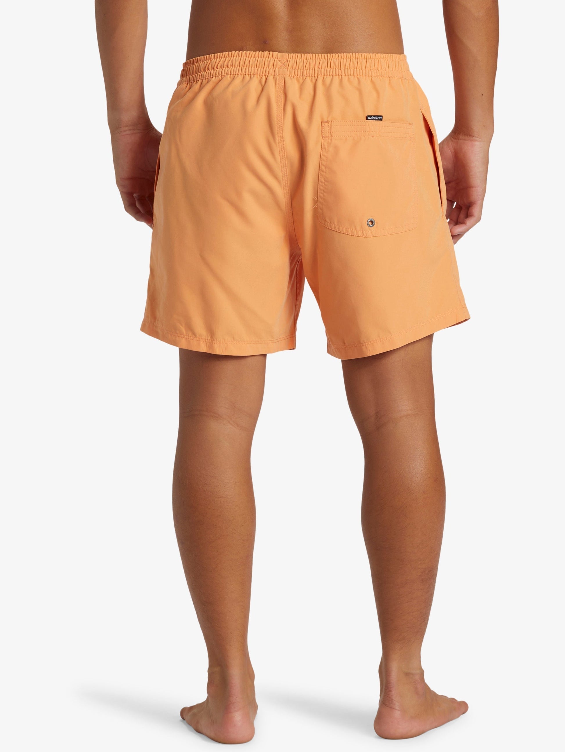 Mens Everyday Solid Volley 15" Swim Shorts - Quiksilver Malaysia