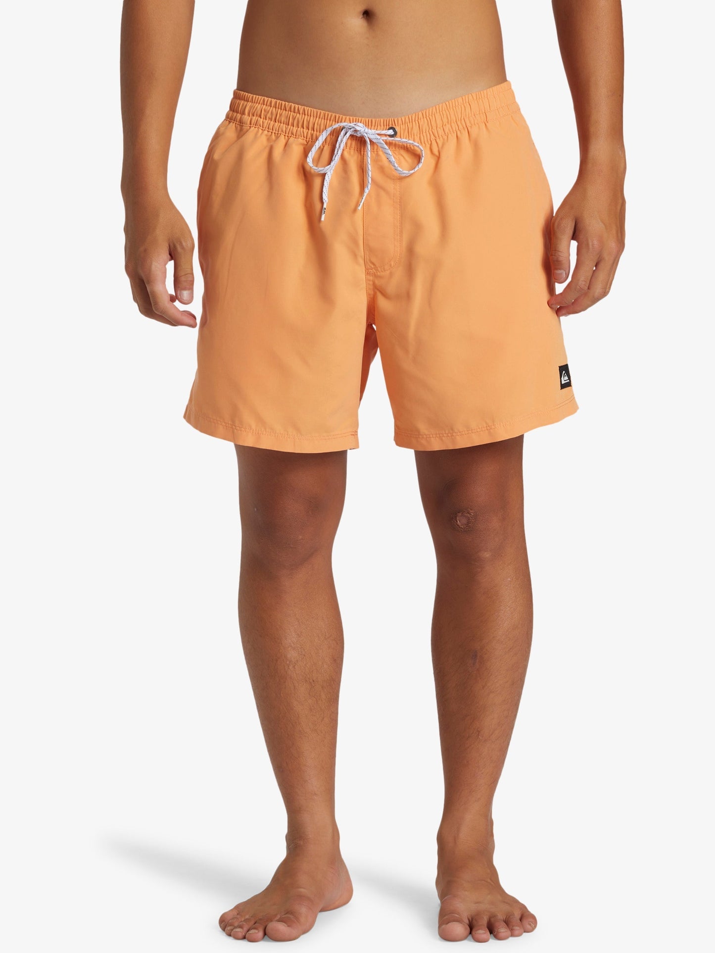 Mens Everyday Solid Volley 15" Swim Shorts - Quiksilver Malaysia