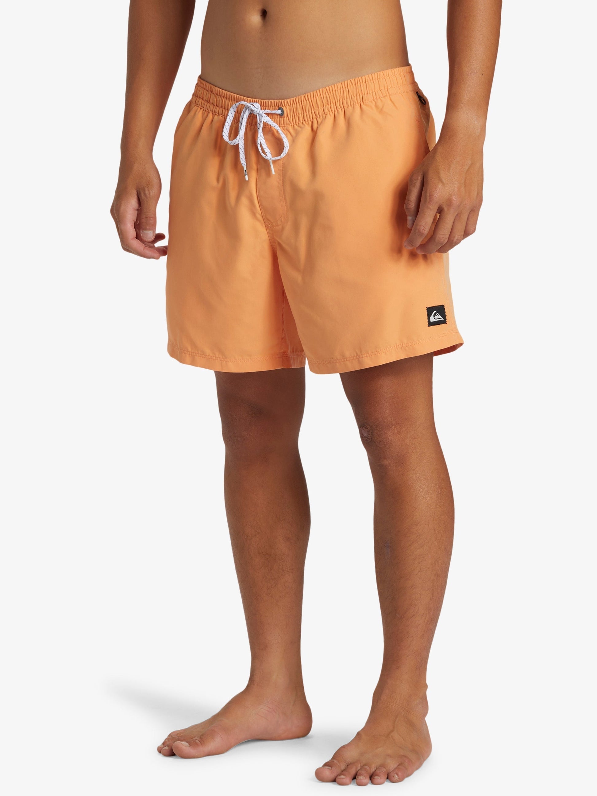 Mens Everyday Solid Volley 15" Swim Shorts - Quiksilver Malaysia