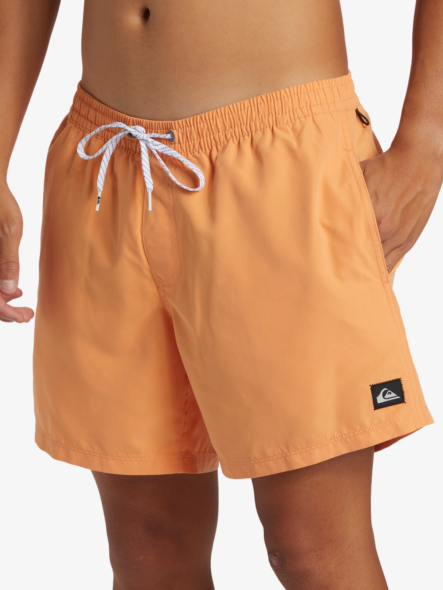 Mens Everyday Solid Volley 15" Swim Shorts - Quiksilver Malaysia