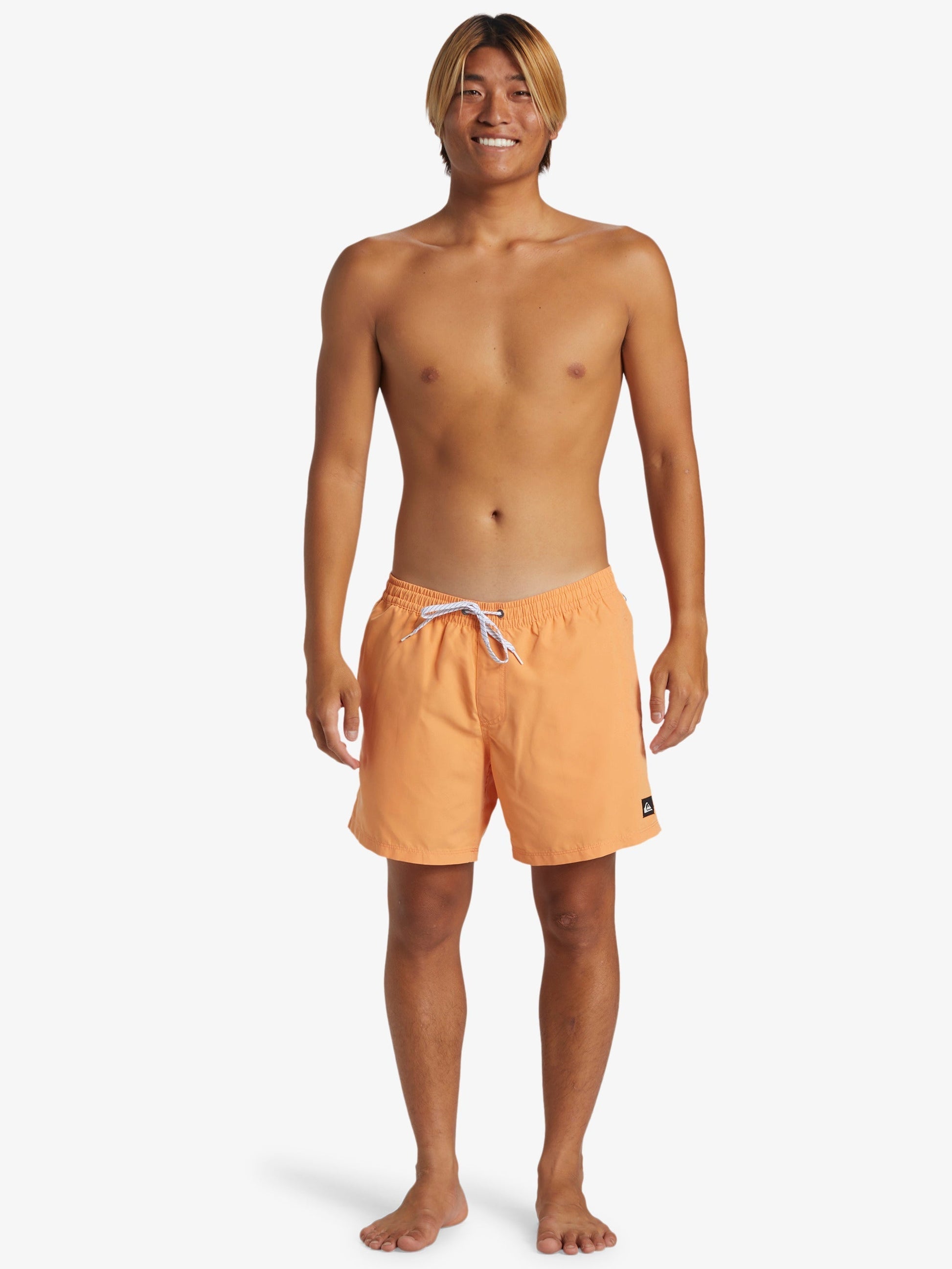 Mens Everyday Solid Volley 15" Swim Shorts - Quiksilver Malaysia