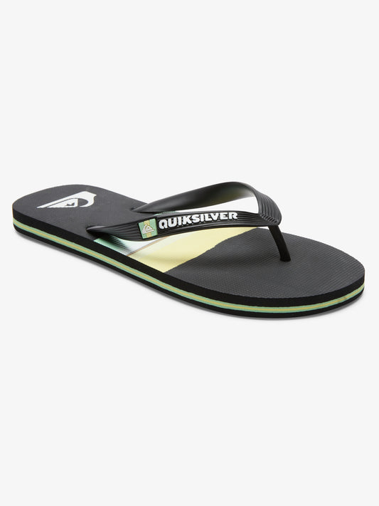 Mens Molokai Resin Tint Slippers - Quiksilver Malaysia