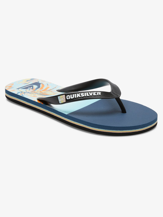 Mens Molokai Panel Flip Flops - Quiksilver Malaysia