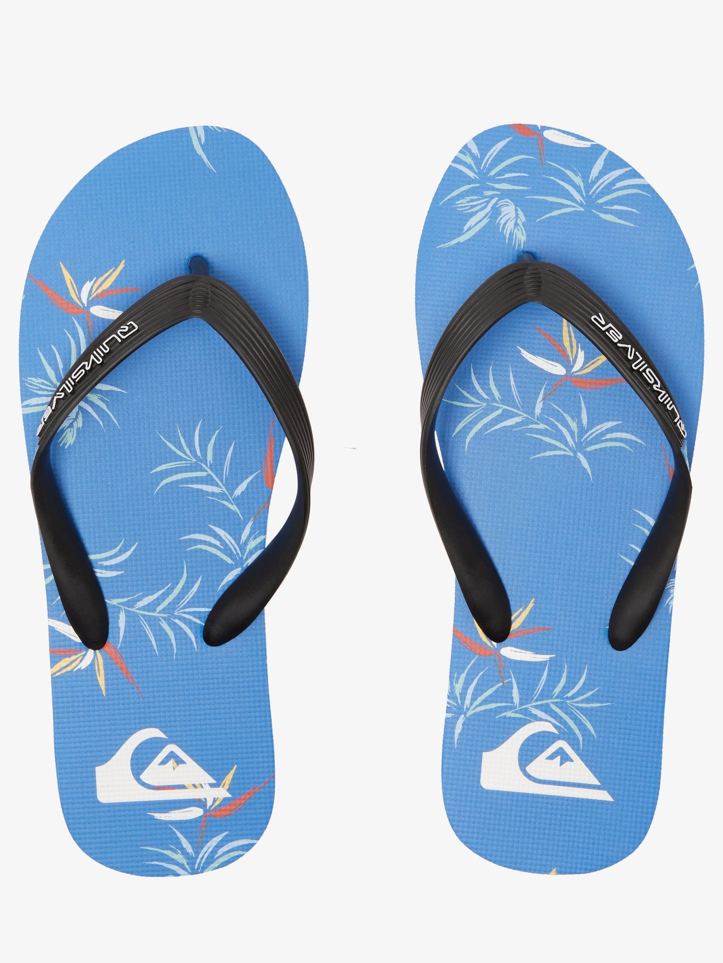 Mens Molokai Art Gregg Kaplan Flip-Flops - Quiksilver Malaysia