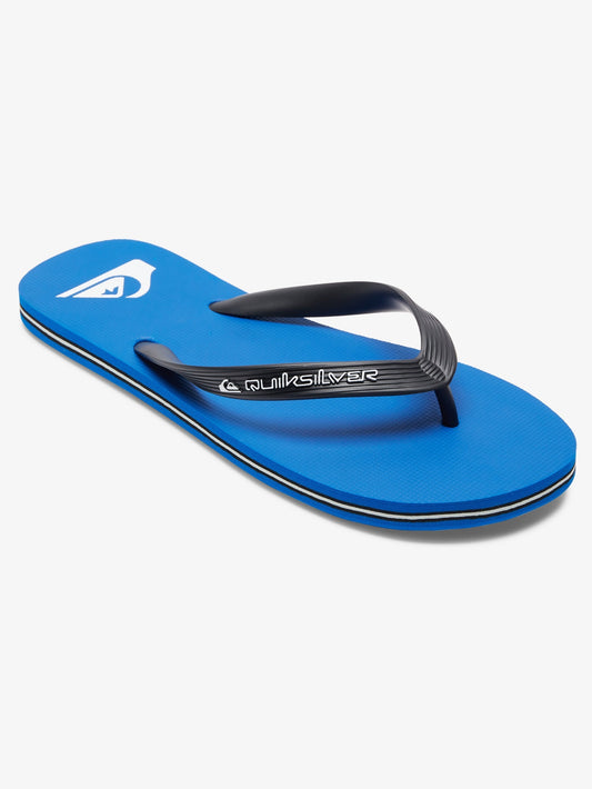 Mens Molokai Core Flip Flops - Quiksilver Malaysia