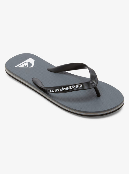 Mens Molokai Core Flip-Flops - Quiksilver Malaysia