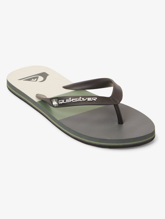 Mens Molokai Stripe Beach Flip Flops - Quiksilver Malaysia