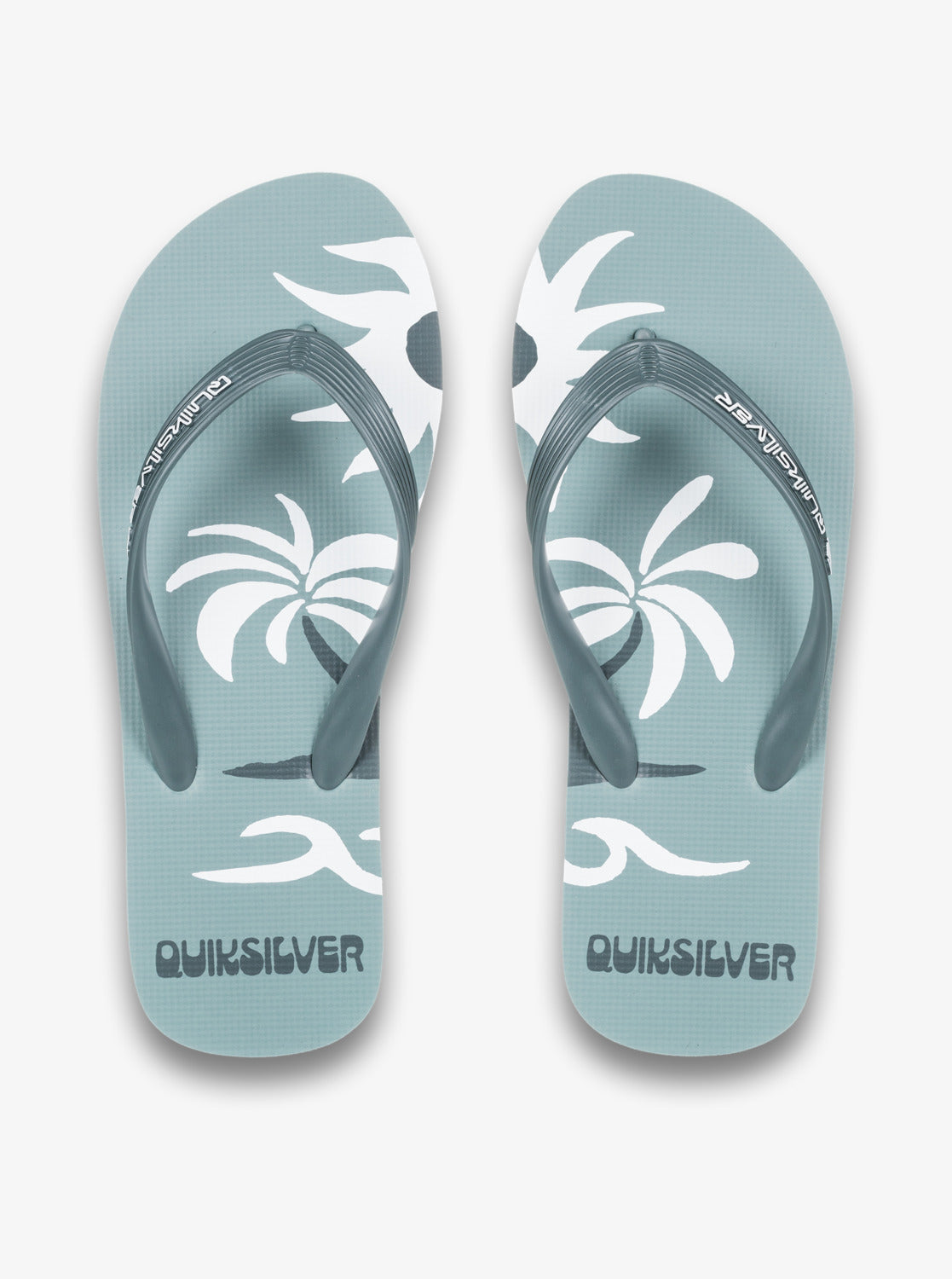 Mens Molokai Screen Flip Flops - Quiksilver Malaysia