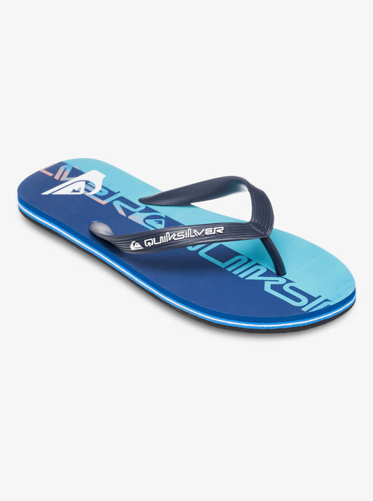 Mens Molokai Art 25 Flip Flops - Quiksilver Malaysia