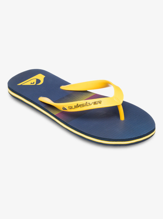 Mens Molokai Stripe 25 Flip Flops - Quiksilver Malaysia