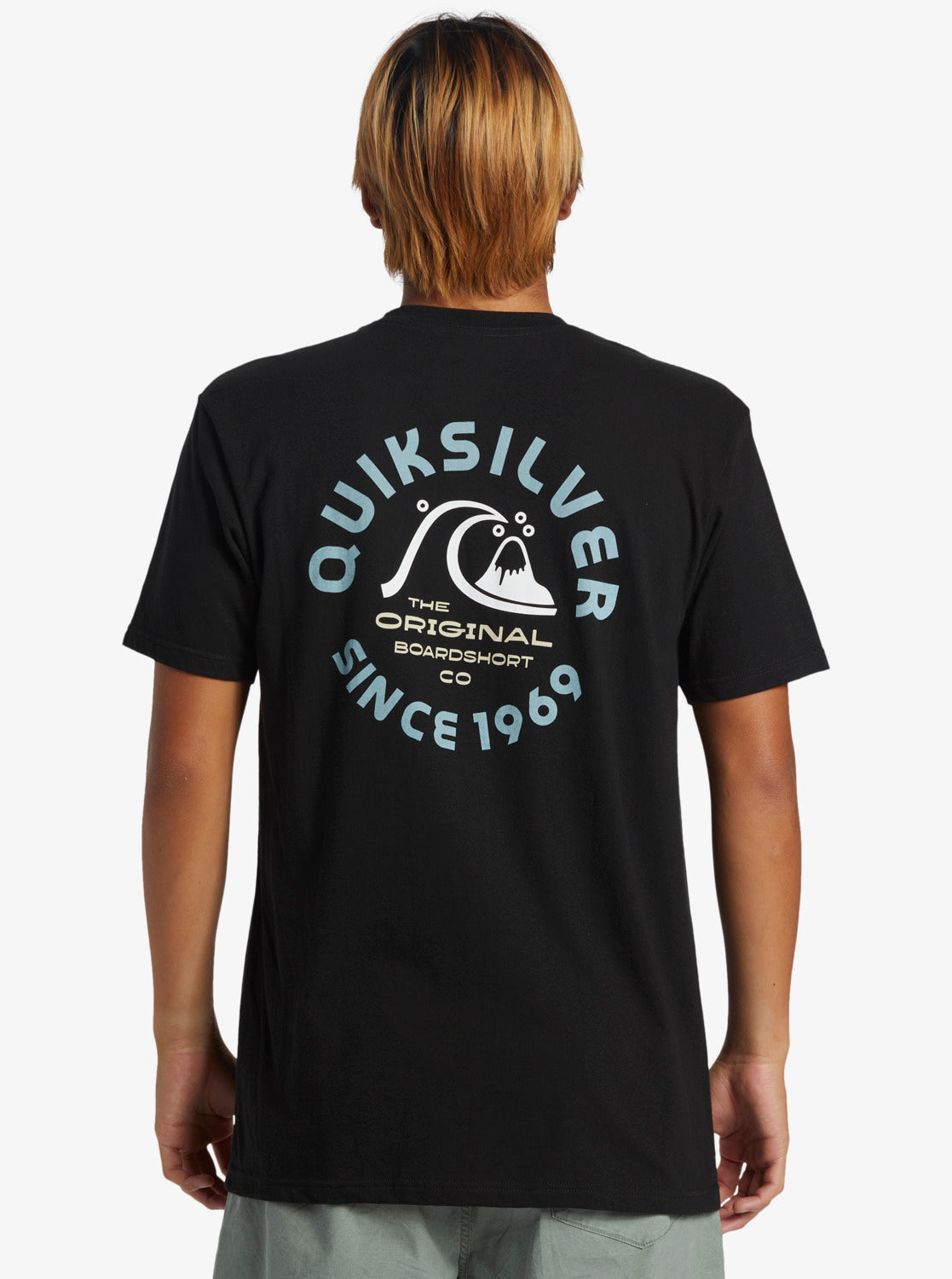 Mens Ice Cold T-Shirt - Quiksilver Malaysia