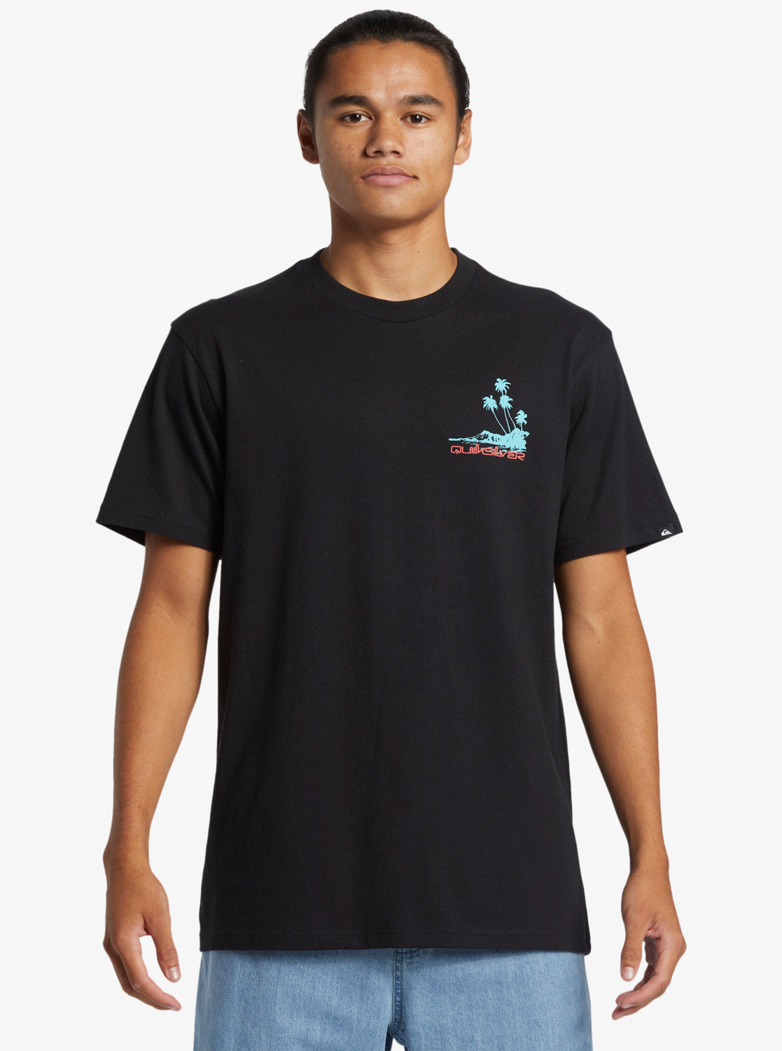 Mens Island Vibes ID T-Shirt - Quiksilver Malaysia