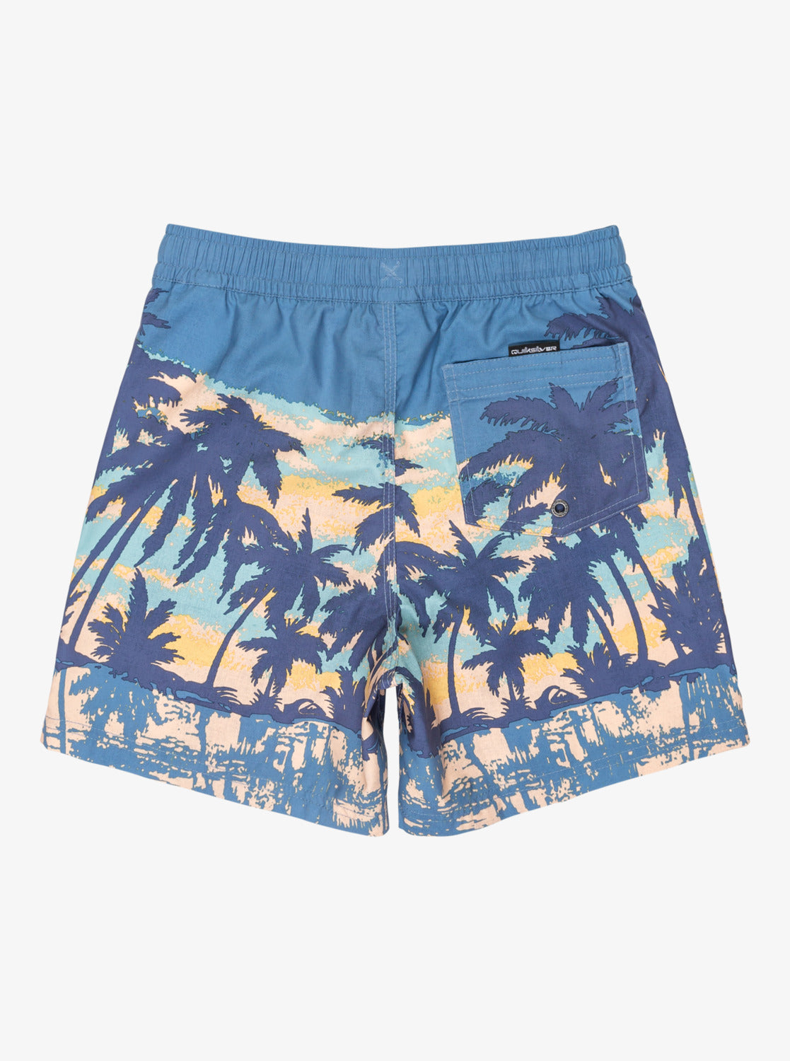 Boys Everyday Straight 14" Swim Shorts - Quiksilver Malaysia