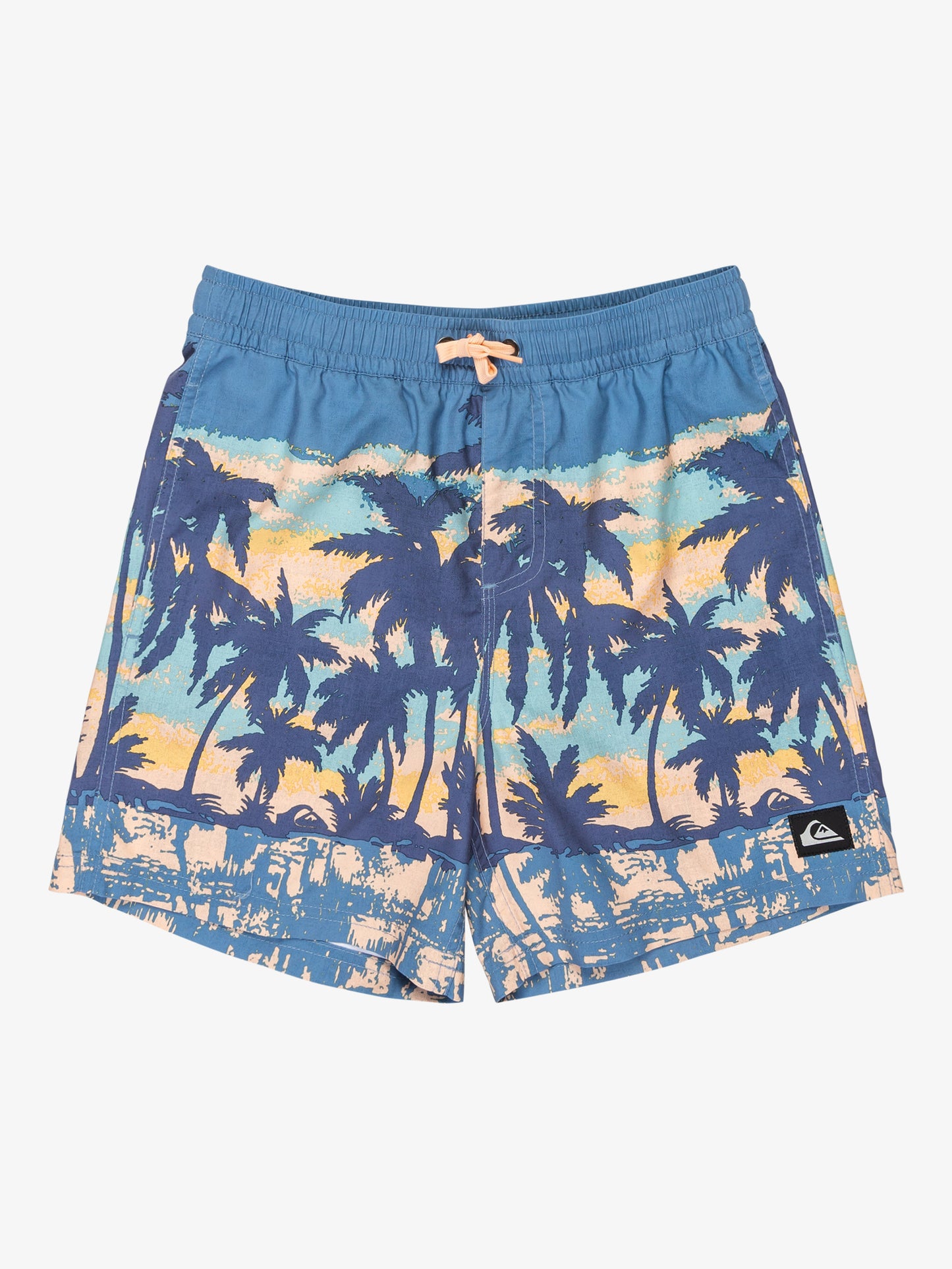 Boys Everyday Straight 14" Swim Shorts - Quiksilver Malaysia