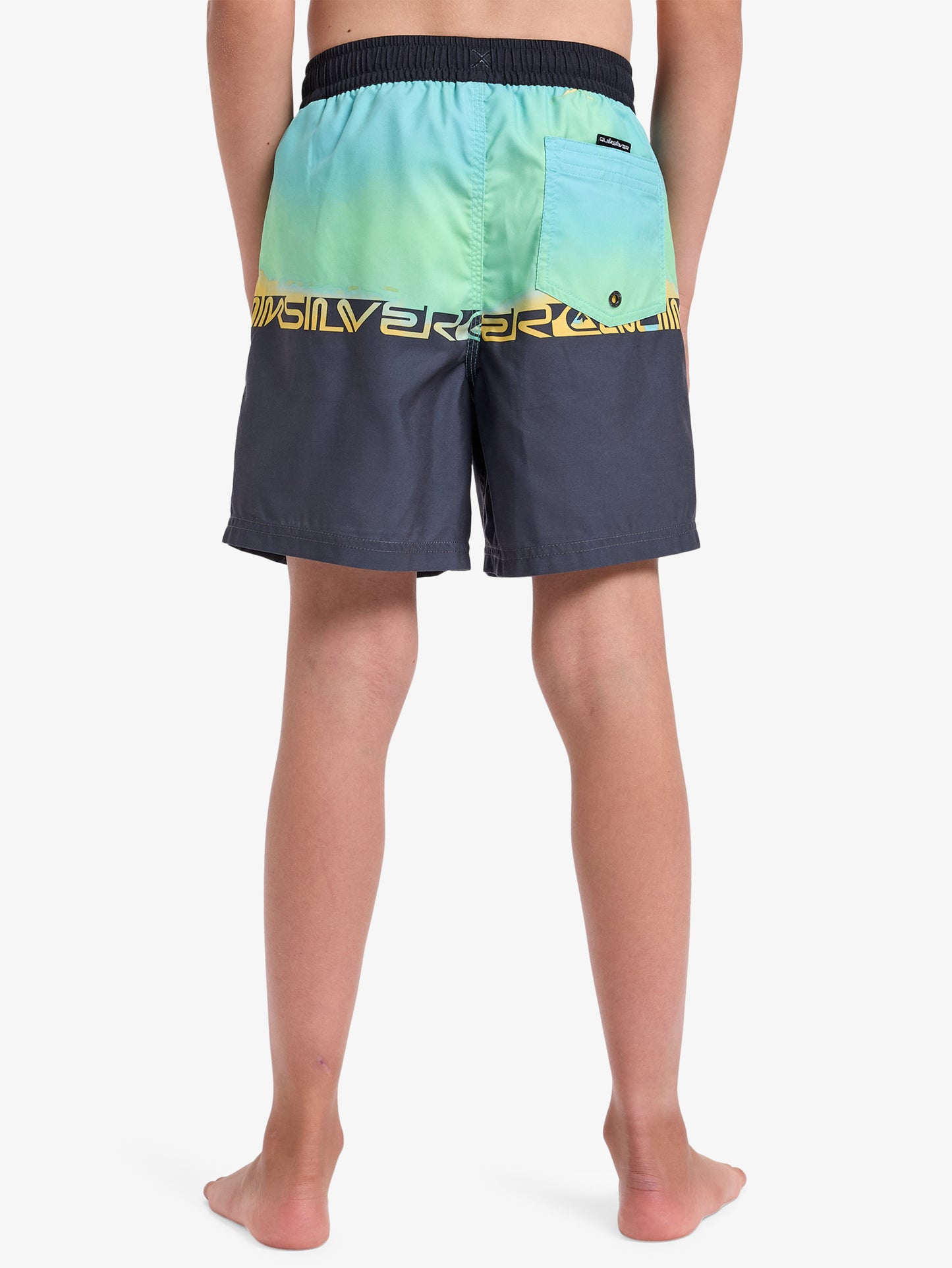 Boys Everyday Straight 14" Swim Shorts - Quiksilver Malaysia