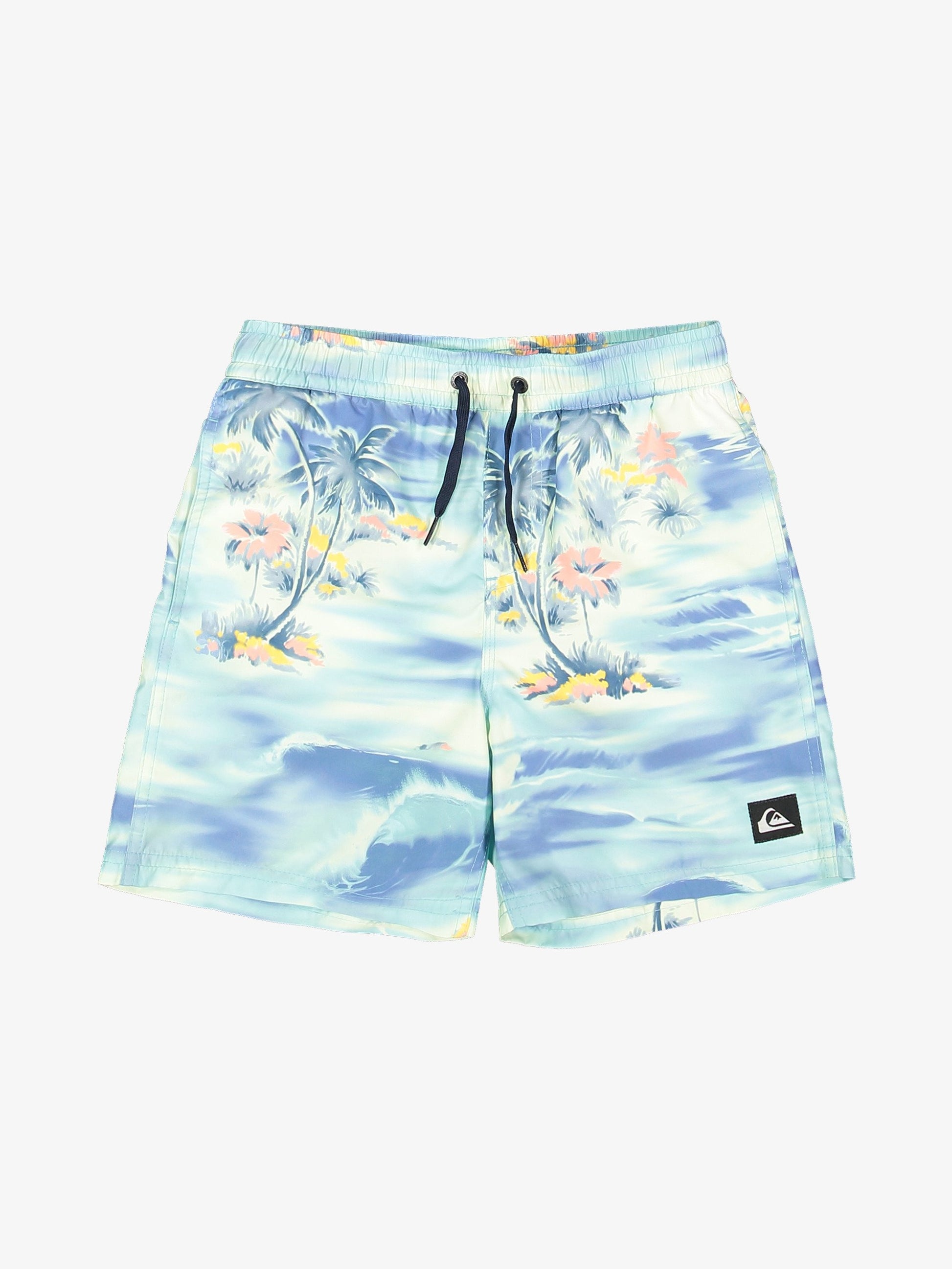 Boys 8-16 Everyday 14" Swim Shorts - Quiksilver Malaysia