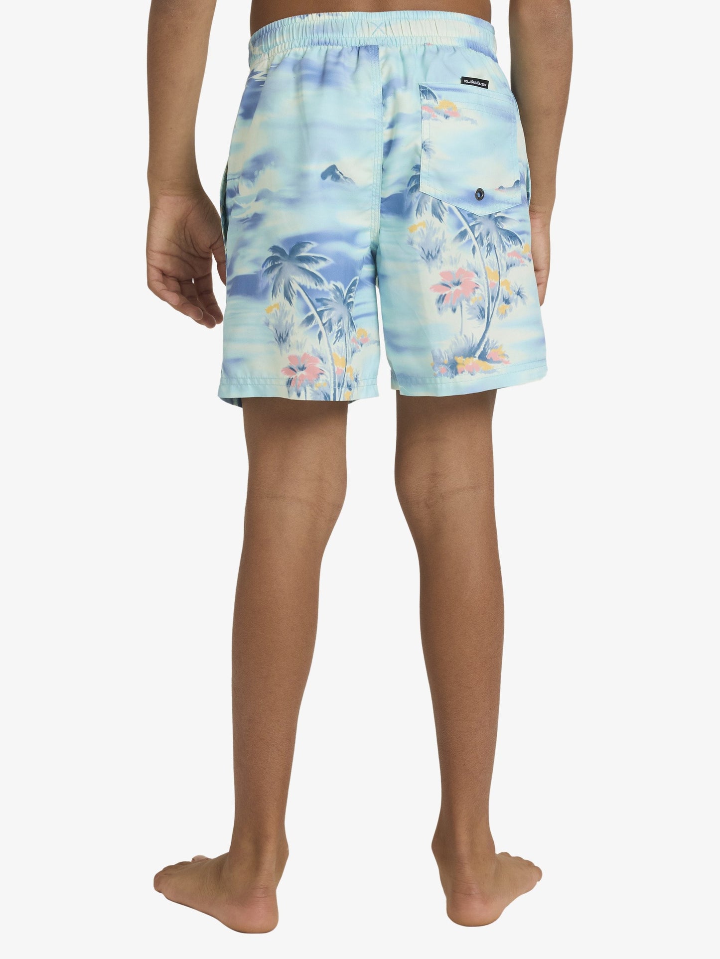 Boys 8-16 Everyday 14" Swim Shorts - Quiksilver Malaysia