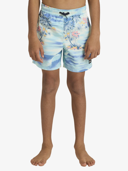 Boys 8-16 Everyday 14" Swim Shorts - Quiksilver Malaysia