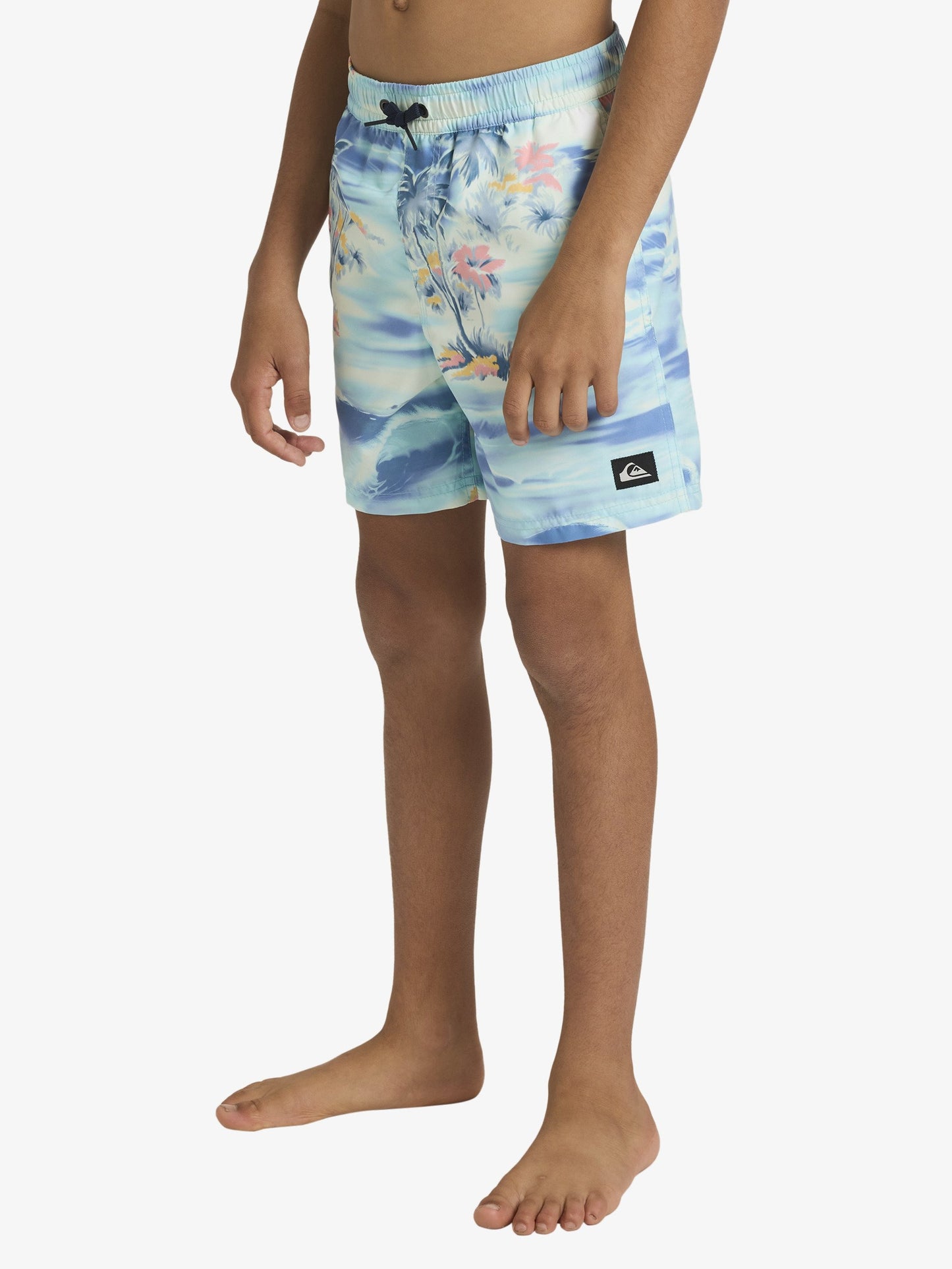 Boys 8-16 Everyday 14" Swim Shorts - Quiksilver Malaysia