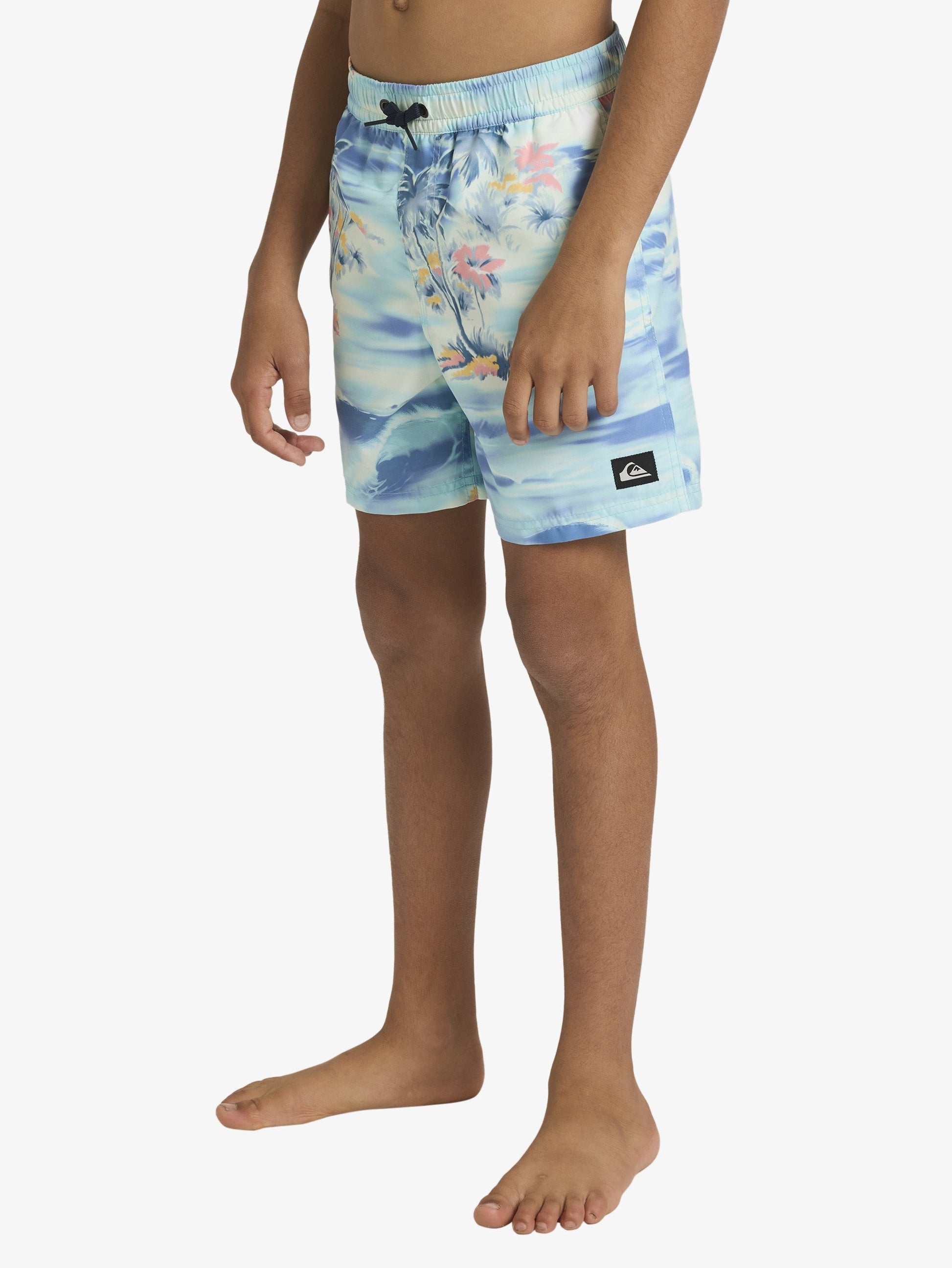 Boys 8-16 Everyday 14" Swim Shorts - Quiksilver Malaysia