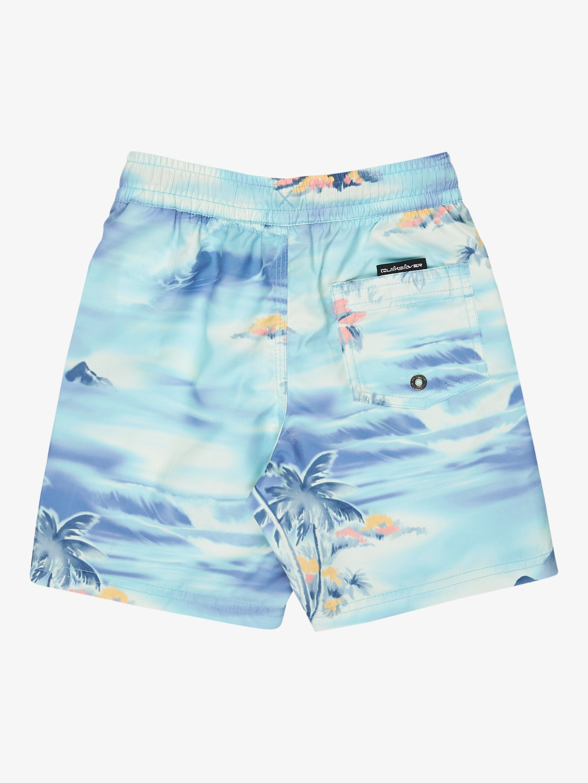 Boys 2-7 Everyday Straight 13" Swim Shorts - Quiksilver Malaysia