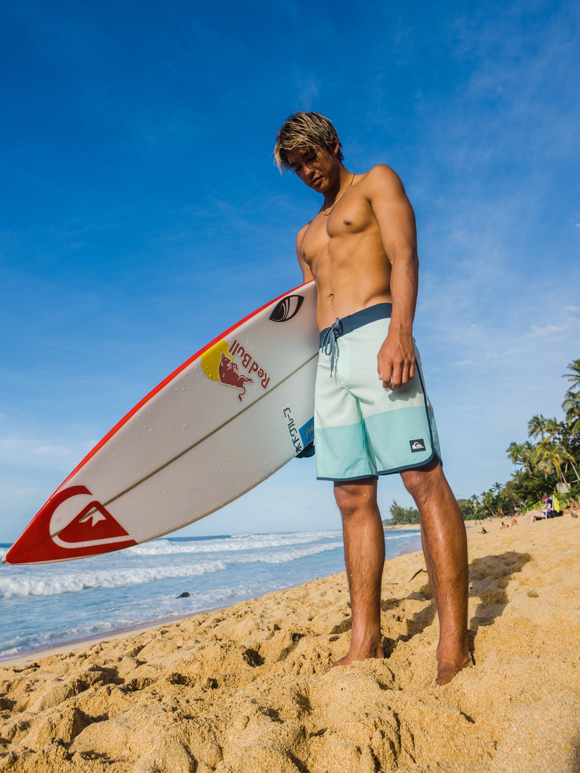 Mens Highlite Scallop 19" Board Shorts - Quiksilver Malaysia