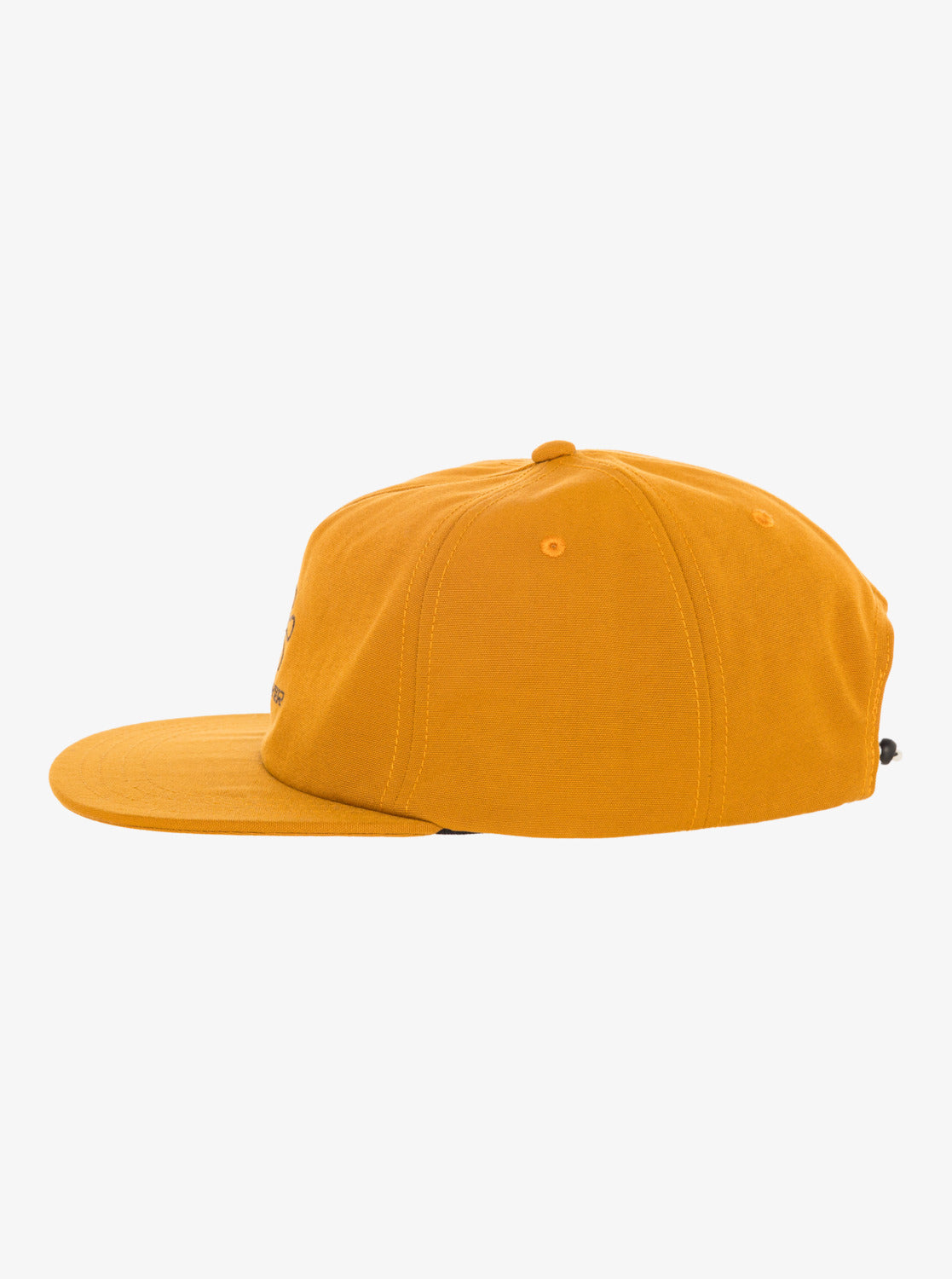 Mens Lenny Snapback Cap