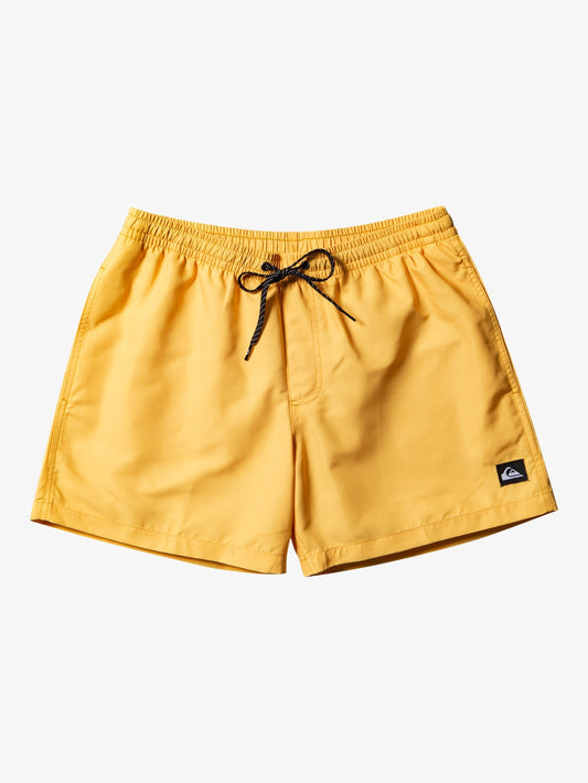 Mens Everyday 15" Swim Shorts - Quiksilver Malaysia