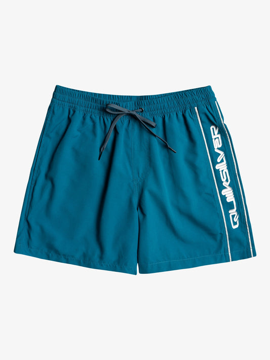 Mens Everyday Vert 16" Swim Shorts - Quiksilver Malaysia