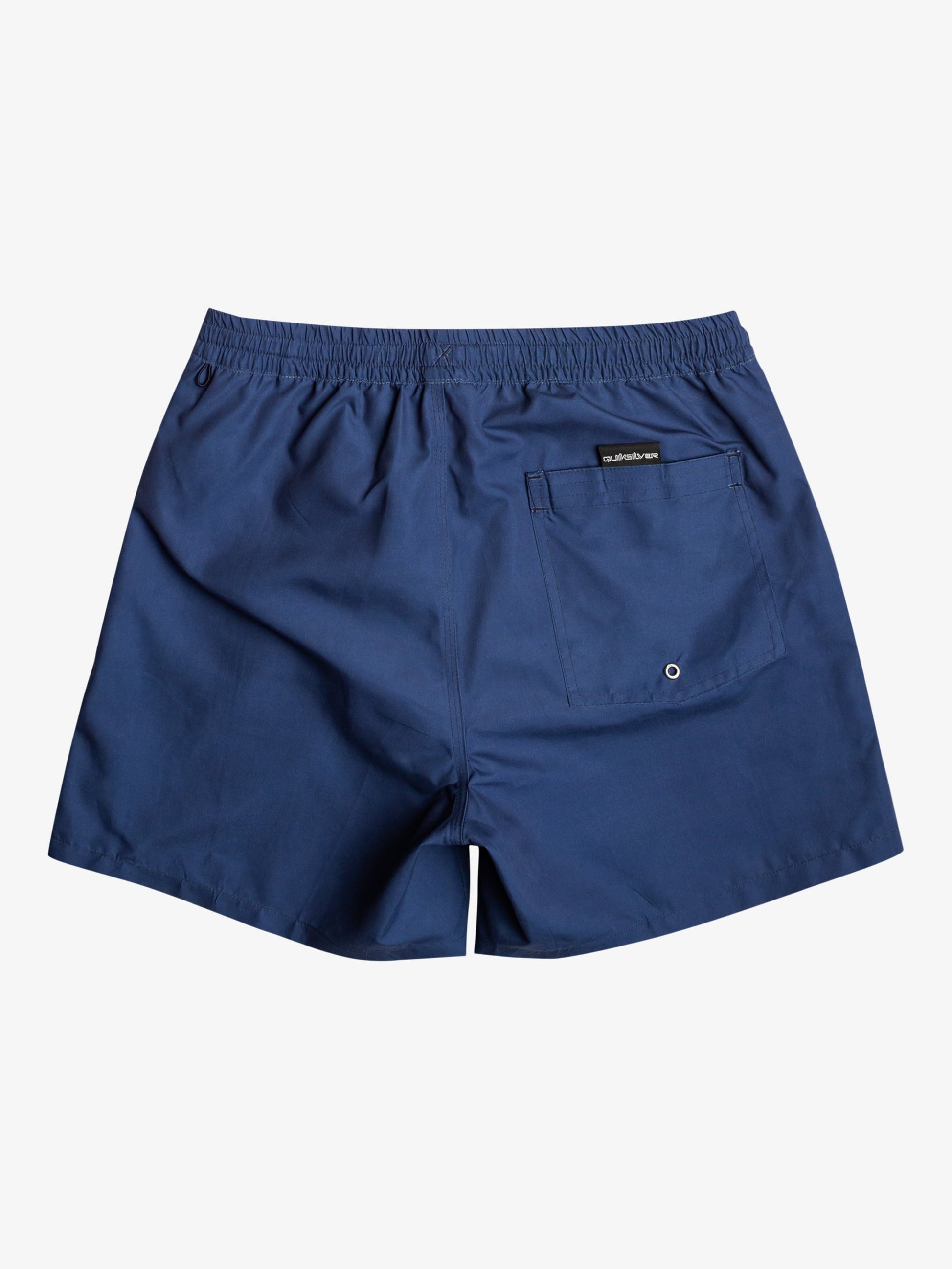 Mens Everyday Vert 16" Swim Shorts - Quiksilver Malaysia