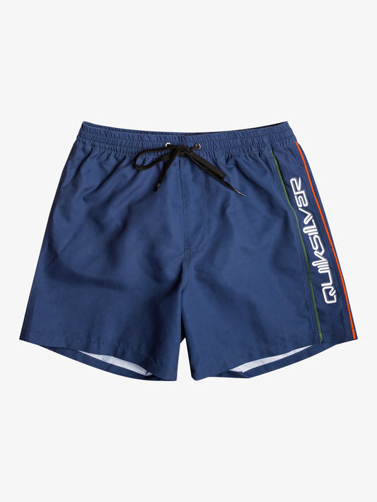 Mens Everyday Vert 16" Swim Shorts - Quiksilver Malaysia