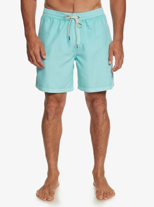 Mens Everyday Surfwash Volley Swim Shorts - Quiksilver Malaysia