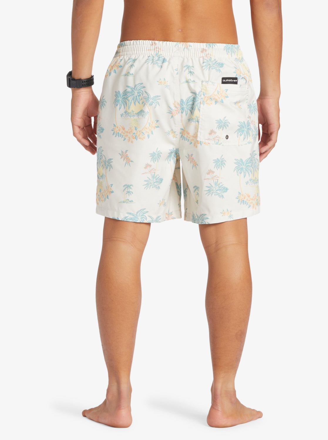 Mens Everyday Mix 17" Swim Shorts - Quiksilver Malaysia