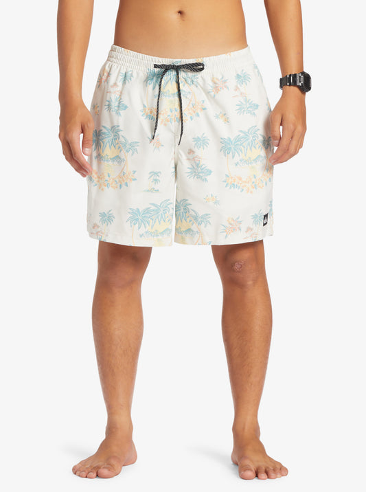 Mens Everyday Mix 17" Swim Shorts - Quiksilver Malaysia