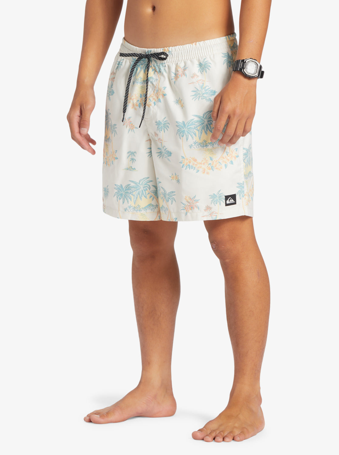 Mens Everyday Mix 17" Swim Shorts - Quiksilver Malaysia