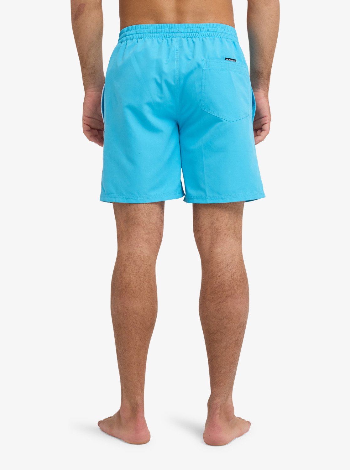 Mens Everyday 17" Swim Shorts - Quiksilver Malaysia