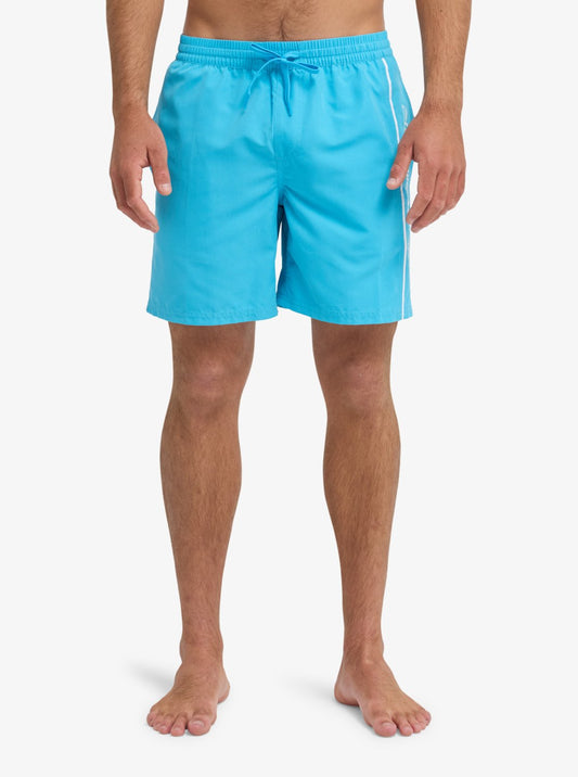 Mens Everyday 17" Swim Shorts - Quiksilver Malaysia
