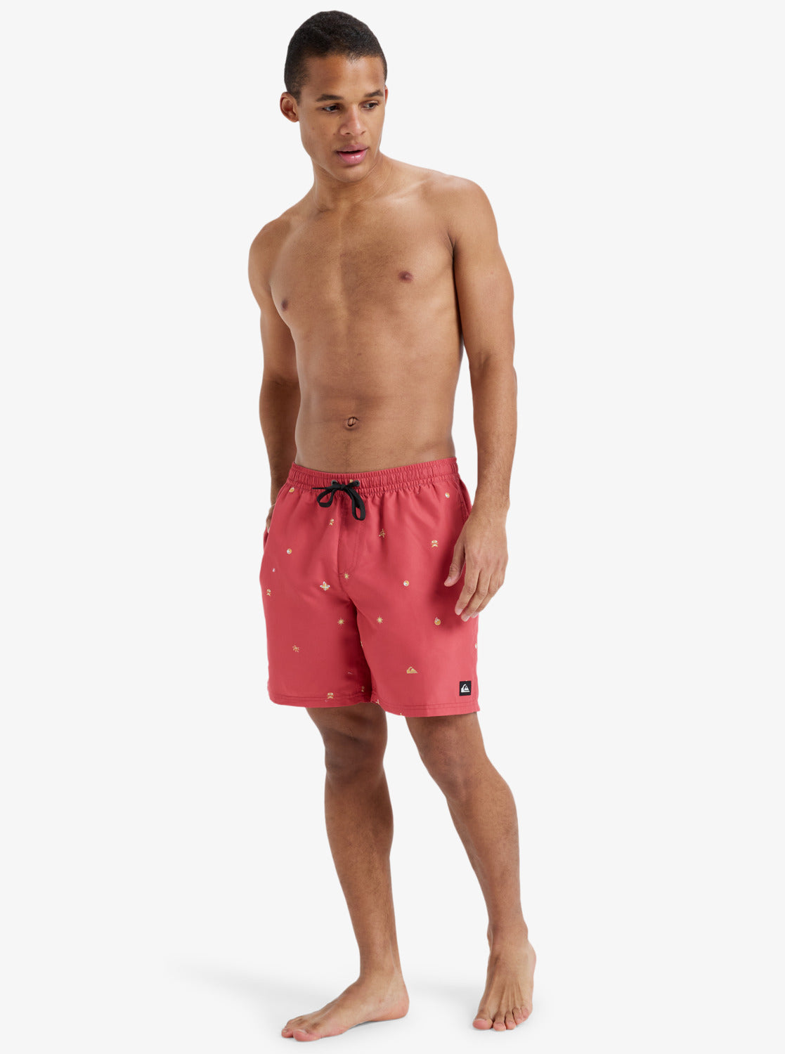 Mens Everyday 17" Swim Shorts - Quiksilver Malaysia
