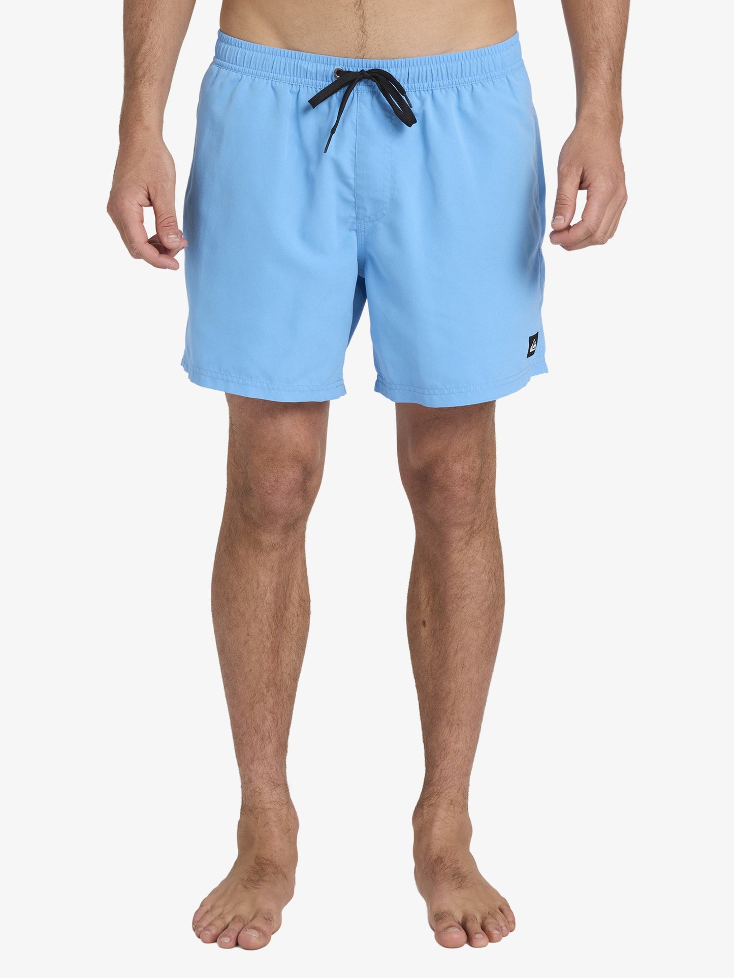 Mens Everyday Surfwash 17" Swim Shorts - Quiksilver Malaysia
