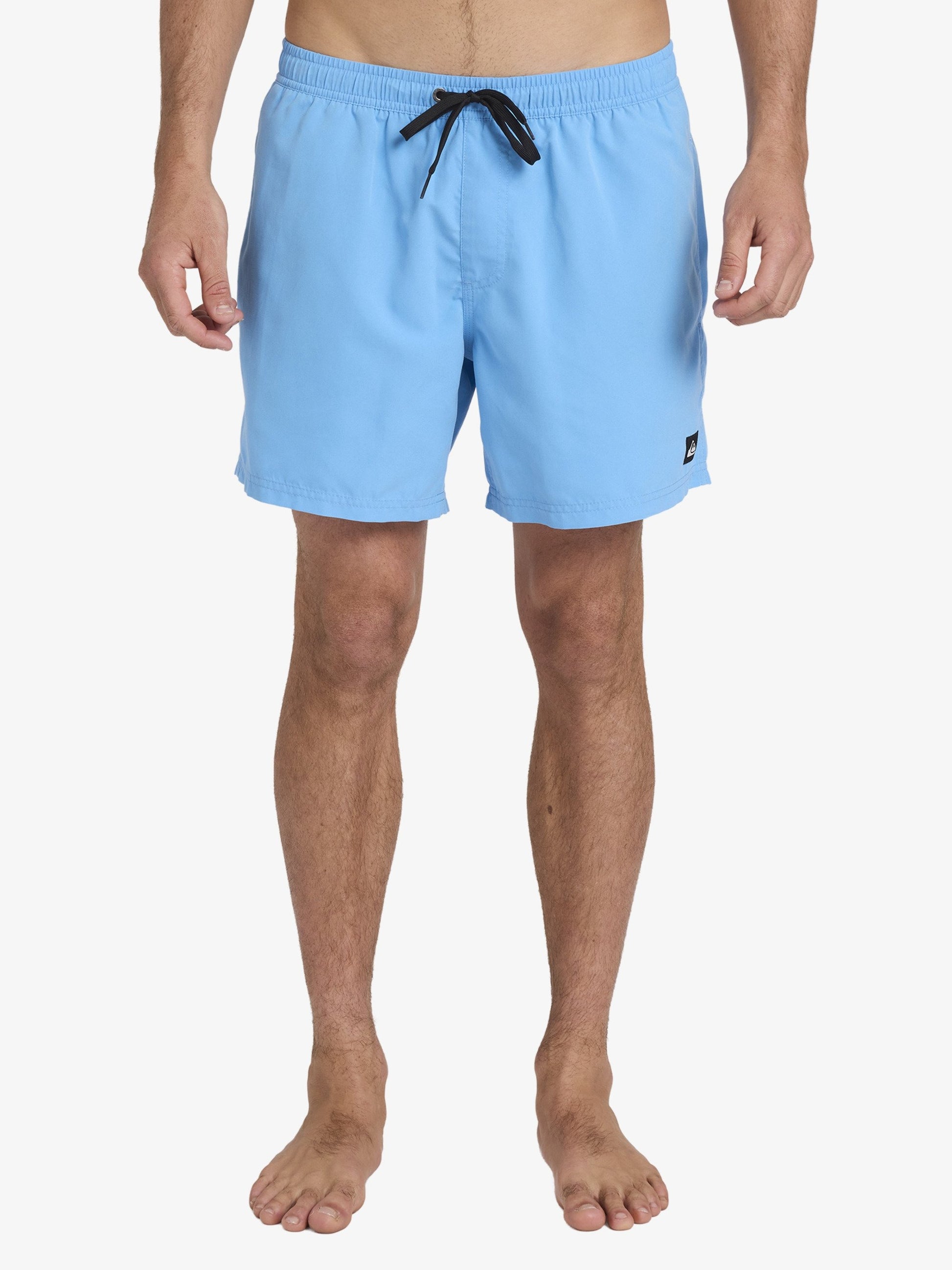 Mens Everyday Surfwash 17" Swim Shorts - Quiksilver Malaysia