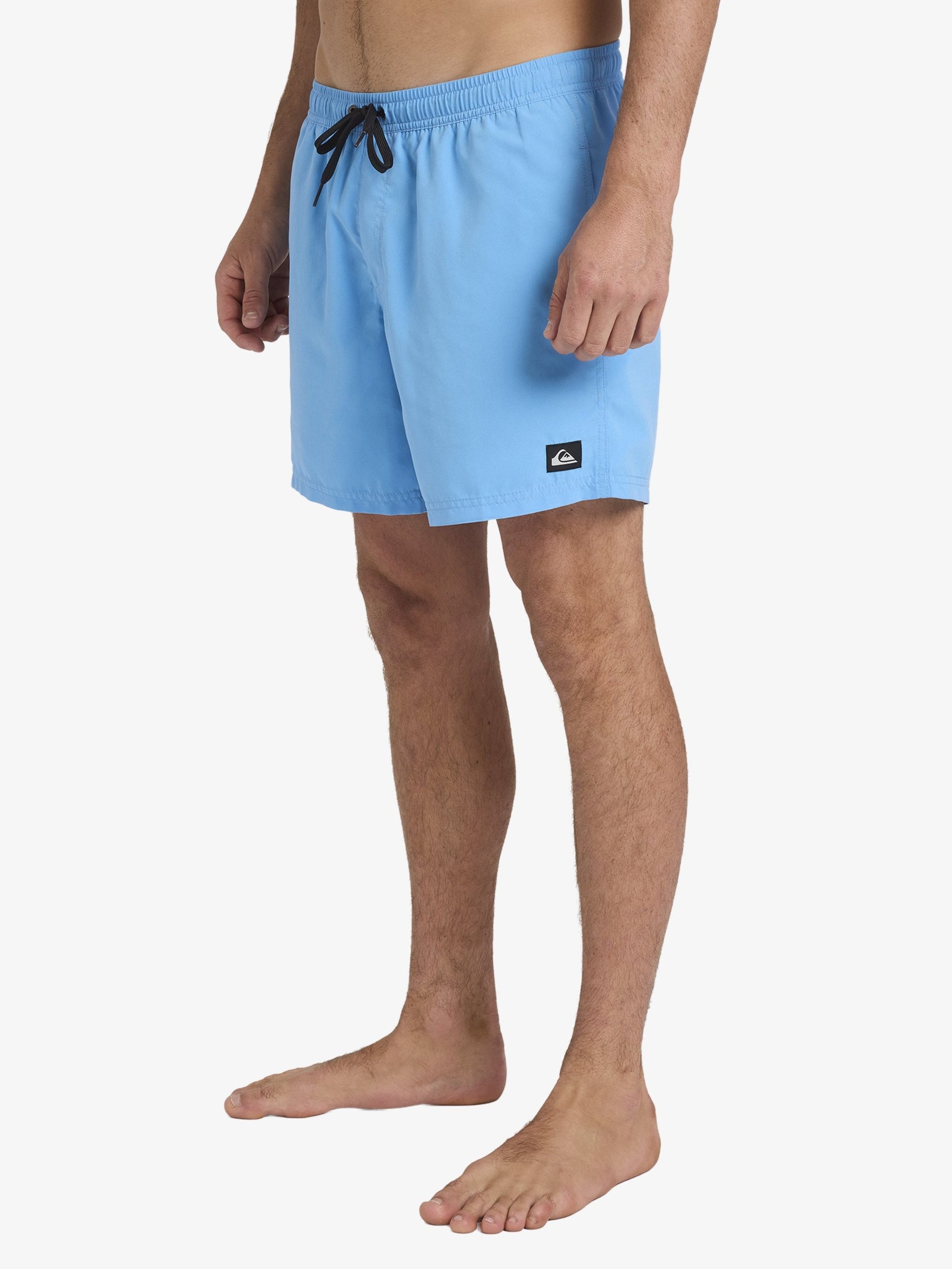Mens Everyday Surfwash 17" Swim Shorts - Quiksilver Malaysia