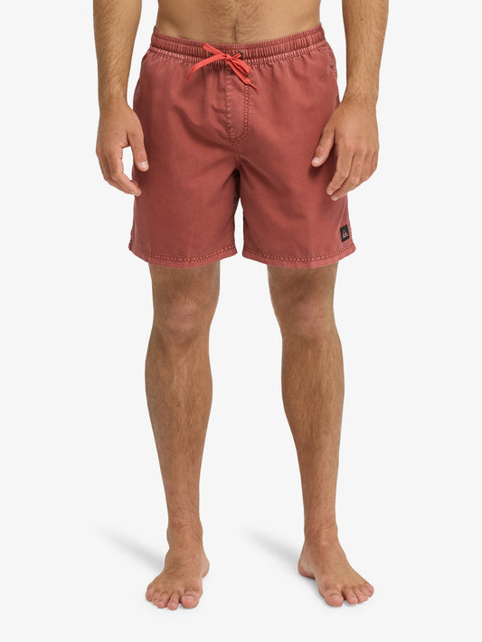 Mens Everyday Surfwash 17" Swim Shorts - Quiksilver Malaysia